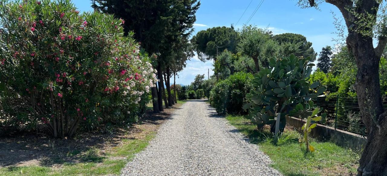 Villa Masseria Brica Rossa Thurii Exterior foto